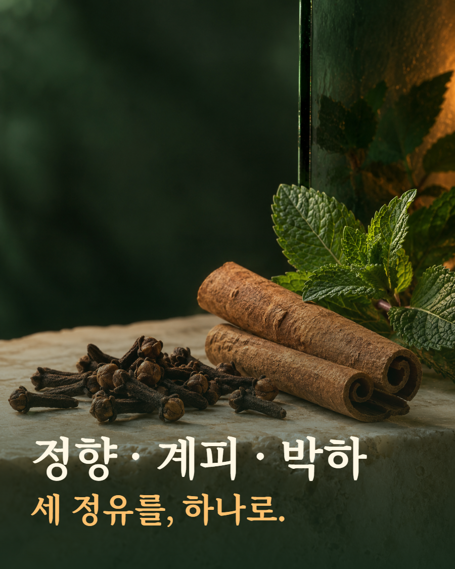 정향·계피·박하 원료 장면