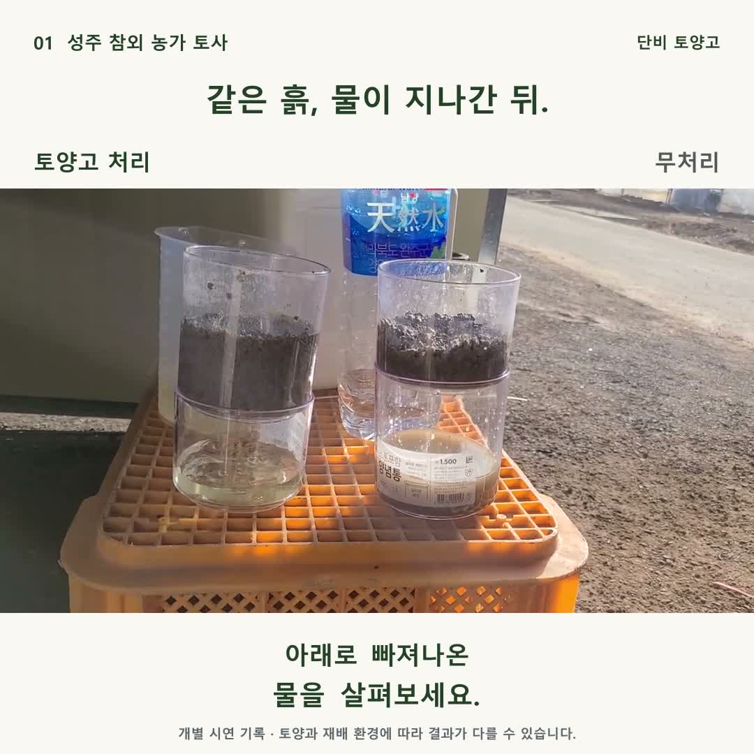 토양고 처리와 무처리 흙을 나란히 놓고 비교한 실험 장면